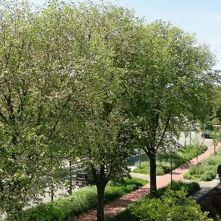 Hotel Plato Den Haag Scheveningen Hotel L'Aia