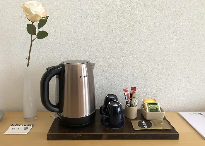 Hotel Hotel Plato Den Haag Scheveningen Haga