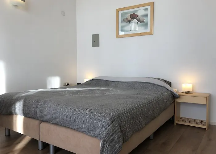 Hotel Plato Den Haag Scheveningen ホテル